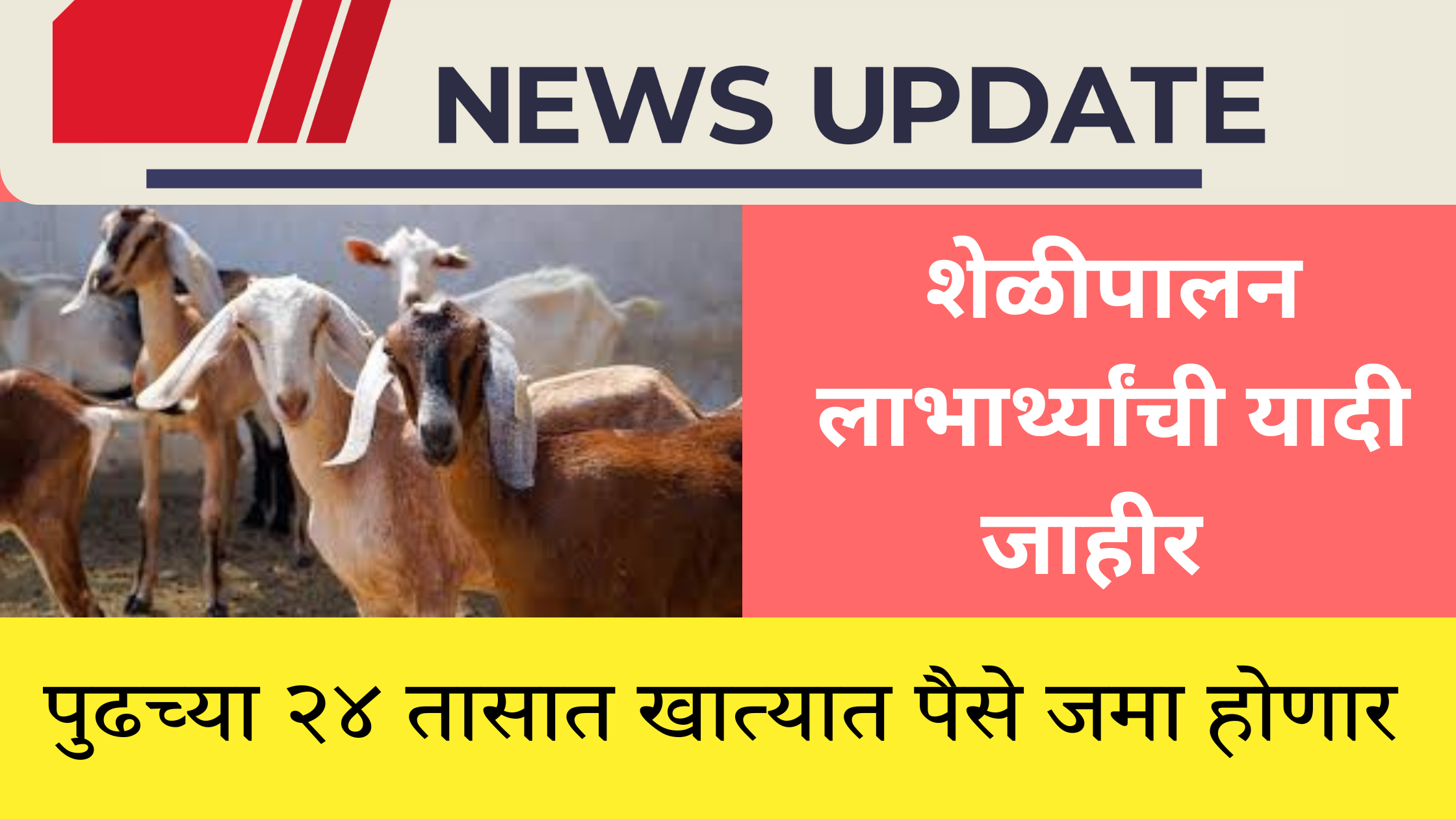 shelipalan marathi news