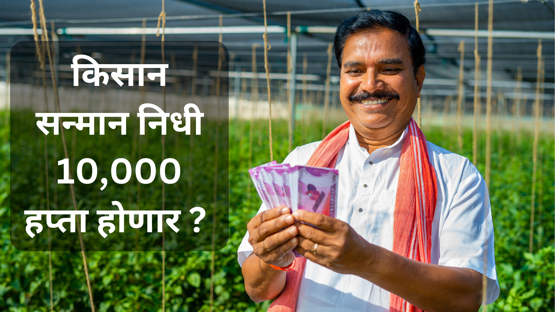 PM Kisan Yojana Will Budget 2025 on February 1 Increase Farmer Installments Budget ka PM kisan yojana par asar